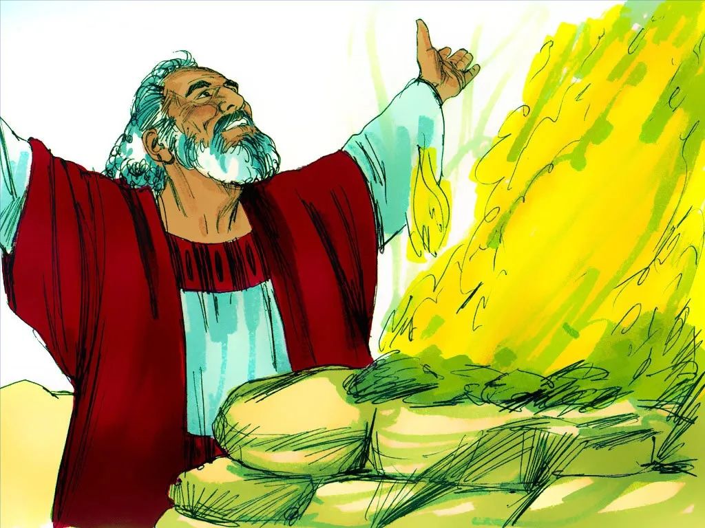 诺亚和方舟图片,诺亚一家造方舟