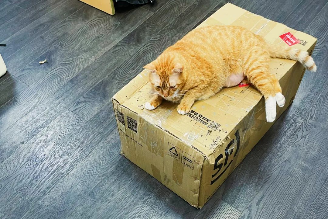 抖音电商怎么做起来,抖音电商该如何去做