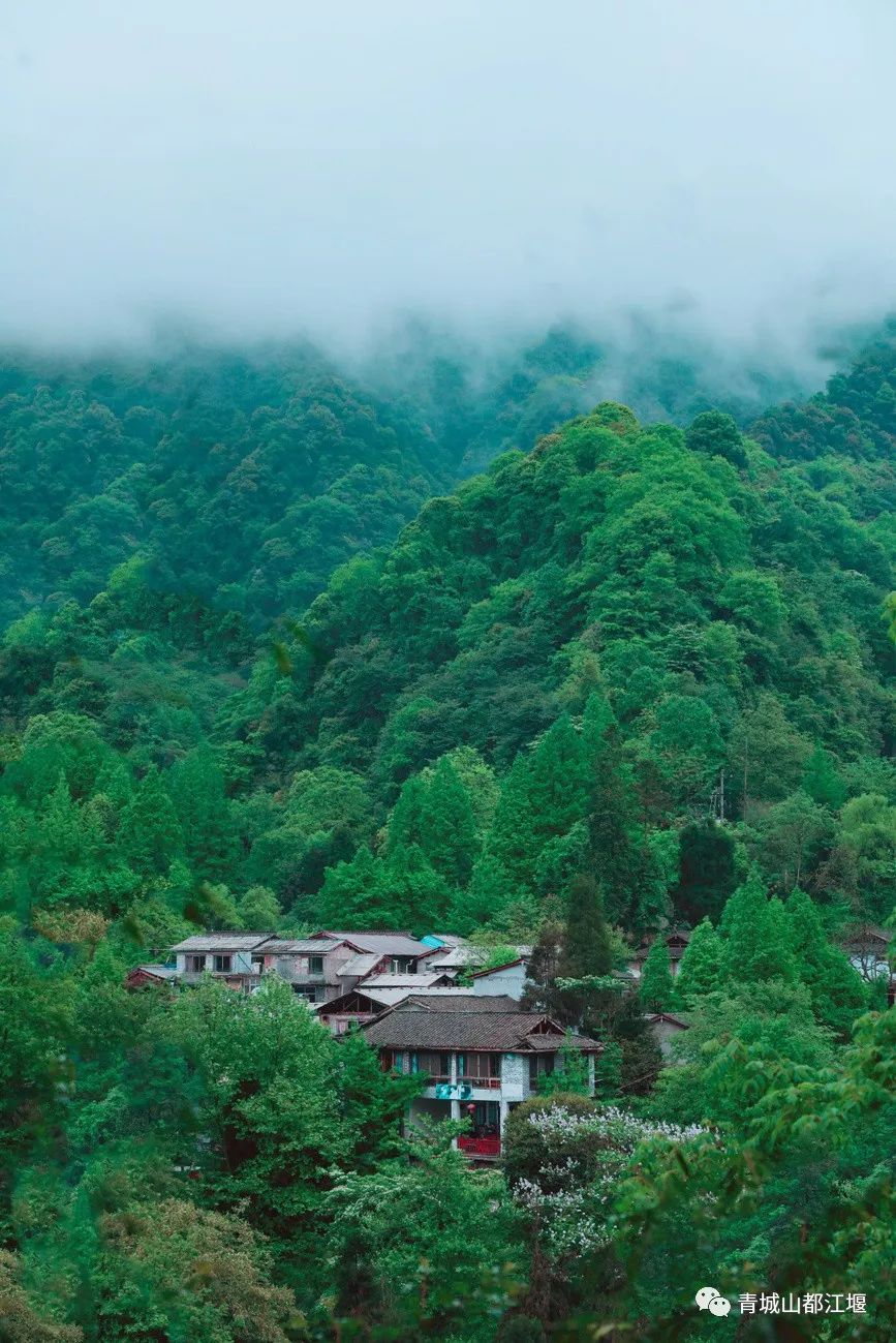 青城山森林秘境,青城山风光好去处
