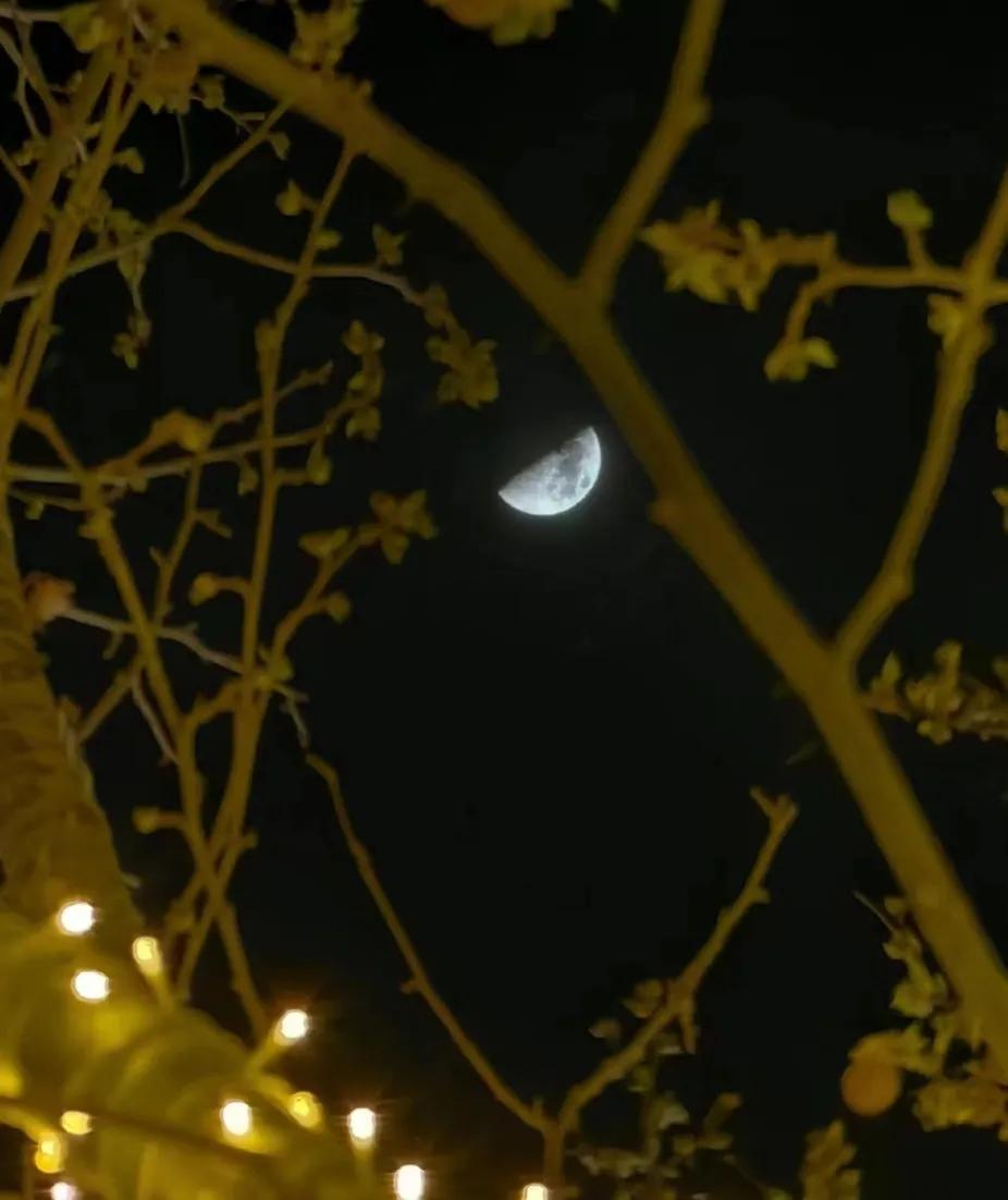 华为p60pro拍月色,华为p60pro最新样张