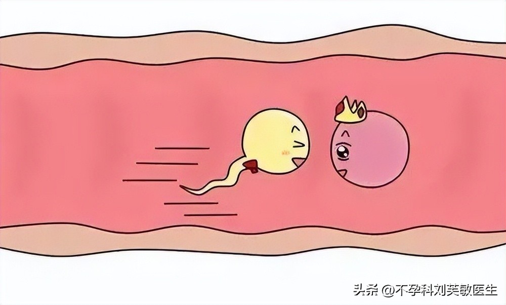 做过人流输卵管堵塞概率多大,没做过人流输卵管会堵吗