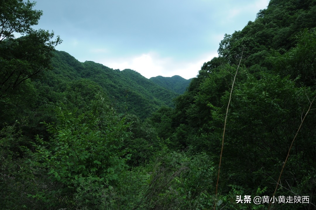 西安秦岭沣峪口夏季避暑去处,西安秦岭沣峪口附近哪里凉快