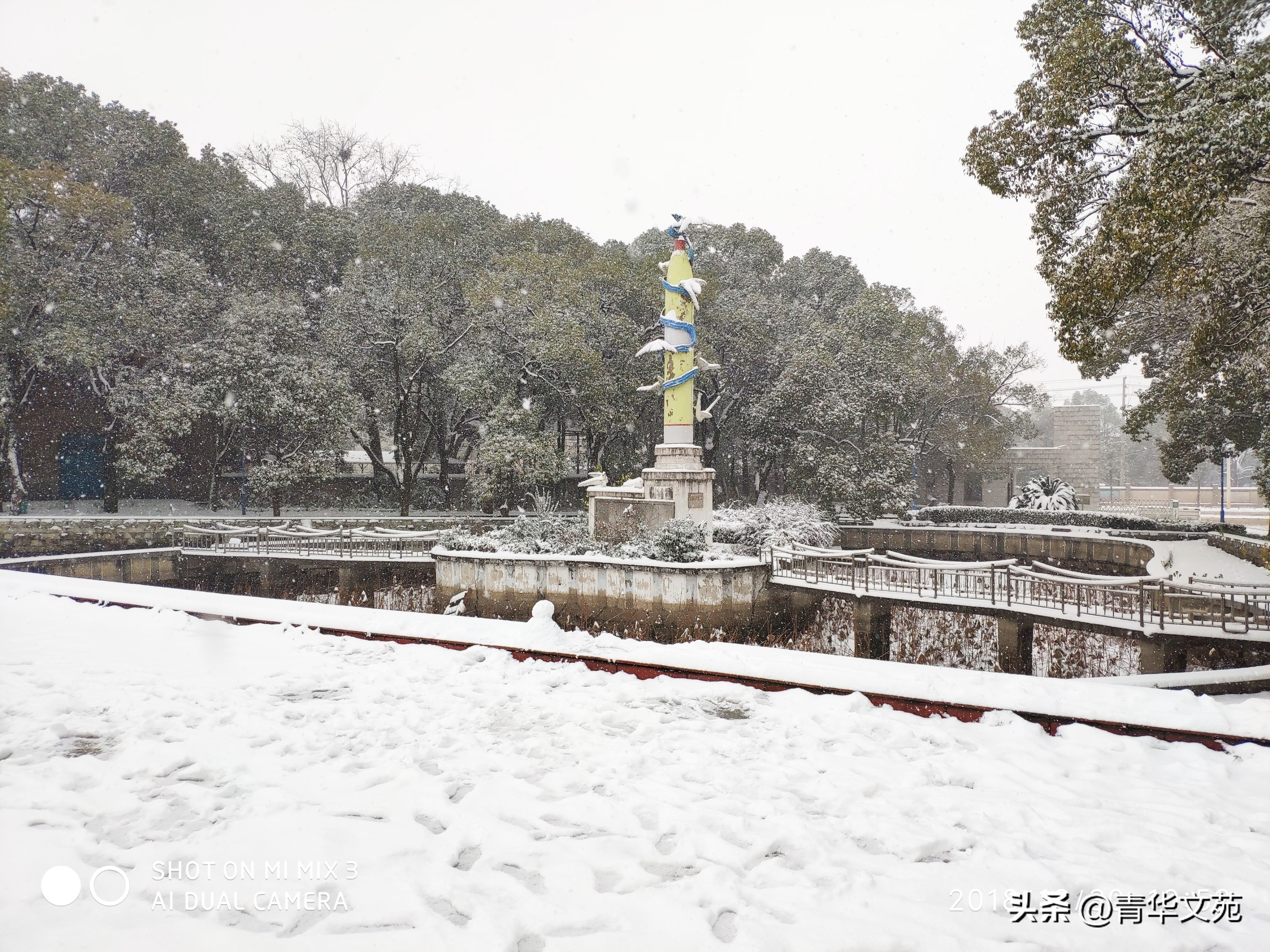 炮院往事之二：军校报到