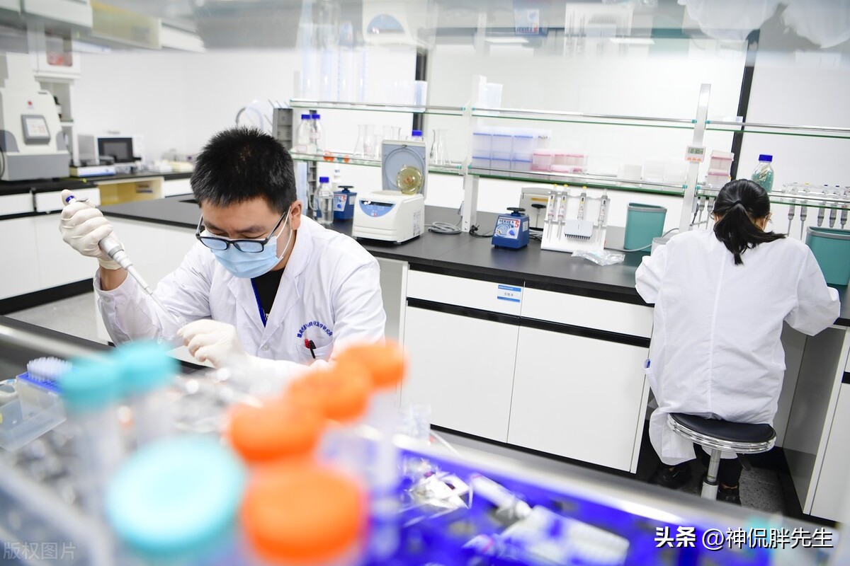 职场遇到喜欢抢你功劳的领导,职场中遇到恶心的领导抢功劳