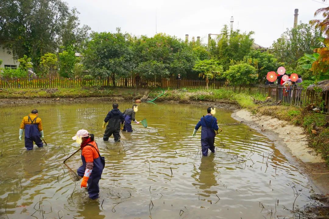 一个有大片绿地、果树、鱼塘、菜地，还有小鸡和鸭子的小岛幼儿园