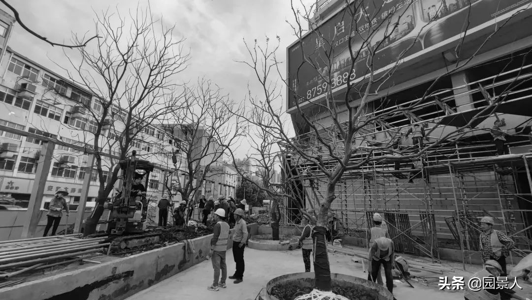 万科华生星耀大道和华生公园大道,武汉万科华生星耀大道