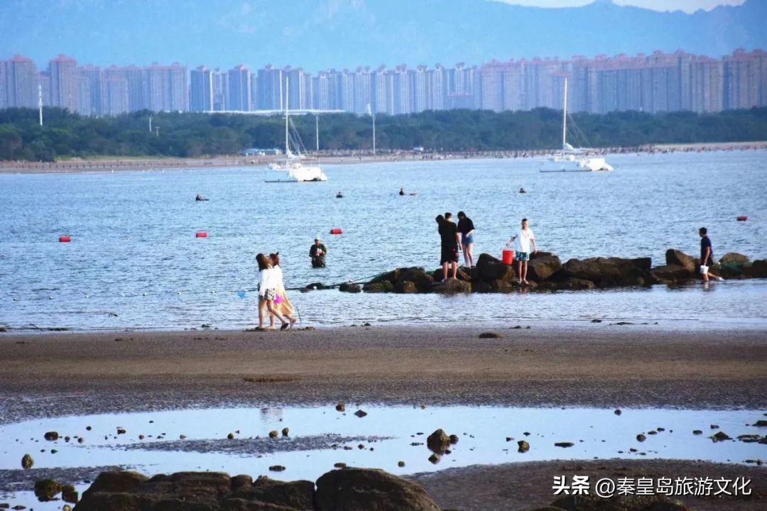 秦皇岛赶海海鲜都有什么,秦皇岛哪里可以赶海捉海鲜