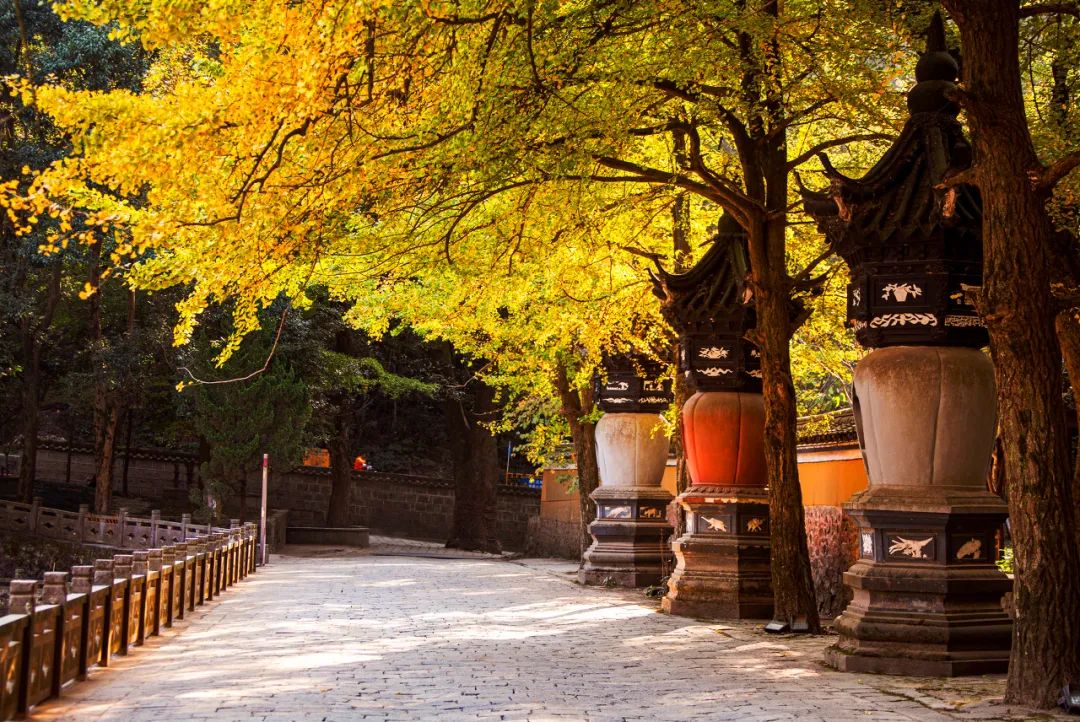 亦正亦邪是什么人格,亦正亦邪的人格魅力是好还是坏