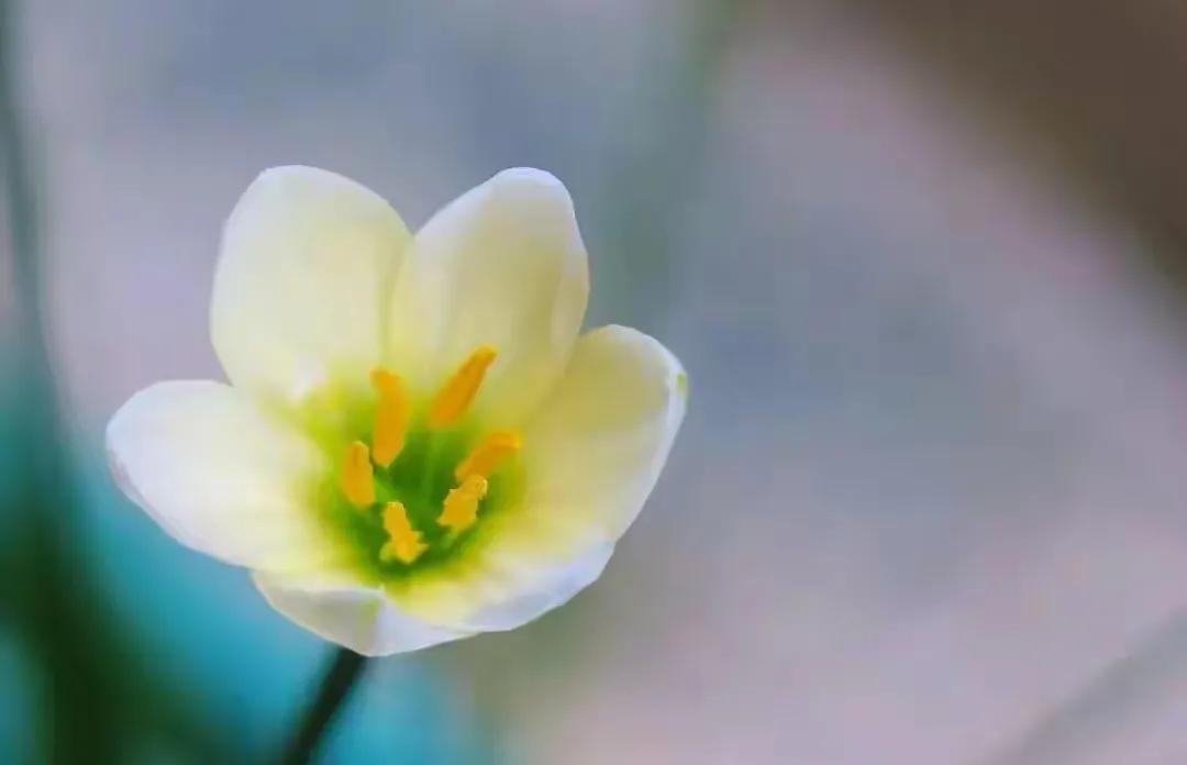普通家庭不要花太多钱,普通家庭千万不要投入大量金钱