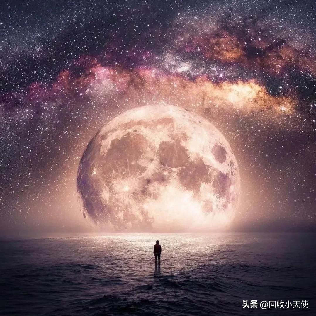 竞拍成功不想要怎么办,网上竞拍成功不想要了怎么办