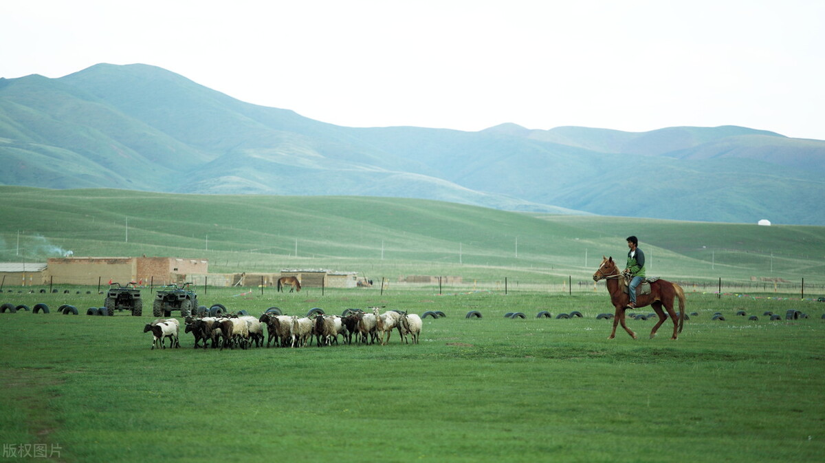 自驾哪里最好玩中国十大自驾游,自驾游5大经典路线自驾游攻略