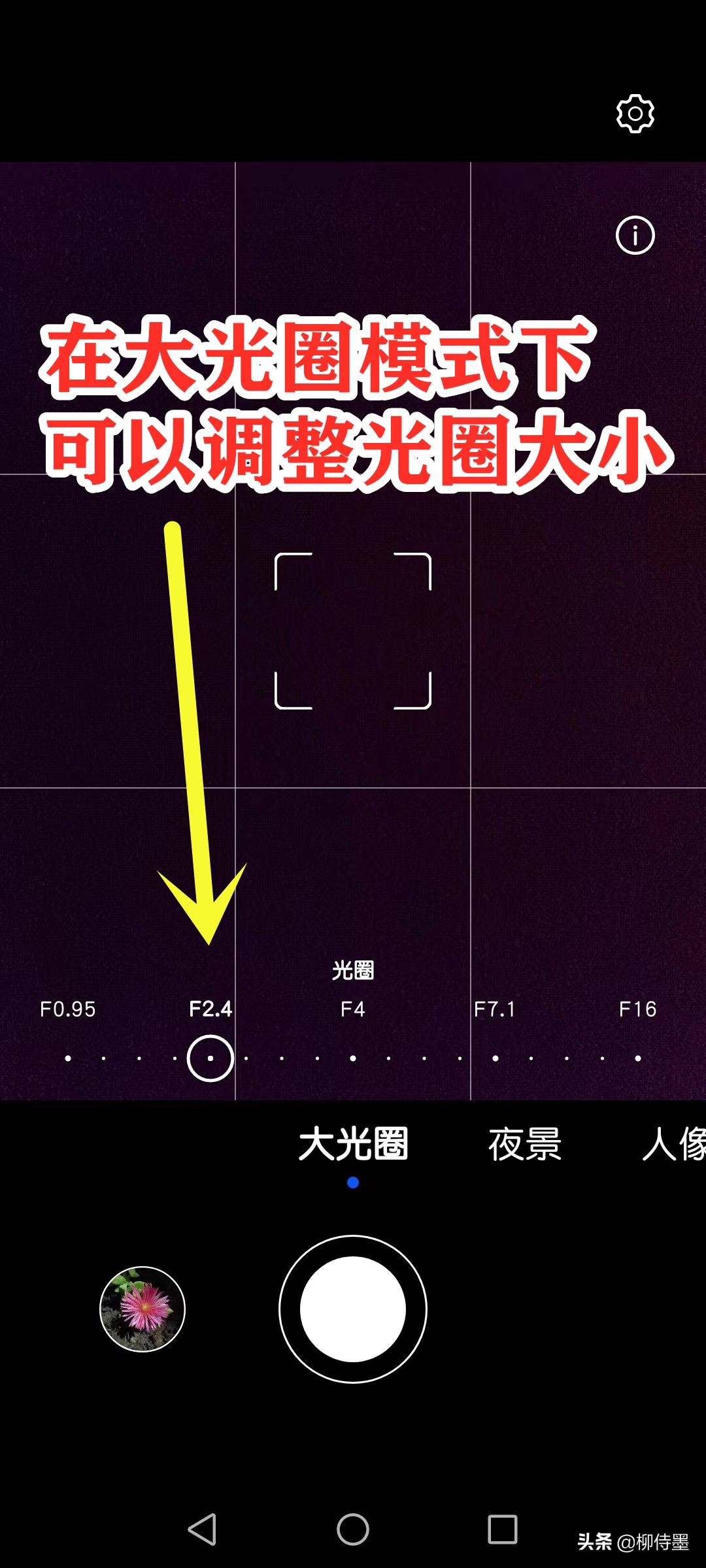 如何拍出有情感的荷花摄影作品,荷花照片怎么拍出高级感