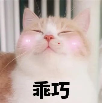 涓闄㈢墿鐞嗘墍纭牳绉戞櫘,涓浗绉戝闄㈢墿鐞嗘墍纭牳绉戞櫘