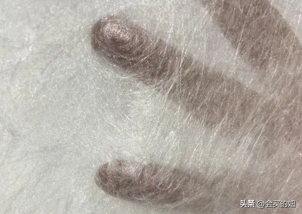 买蚕丝被不踩坑学会这几招,蚕丝被避免入坑科普大全