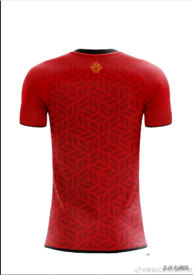 青岛海牛青岛红狮什么关系,青岛海牛对青岛红狮直播回放