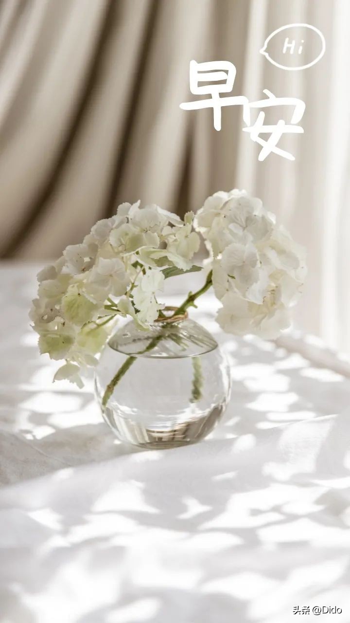 腊月末，小年至，愿我们发财，被爱，好运常在。早安心语最新