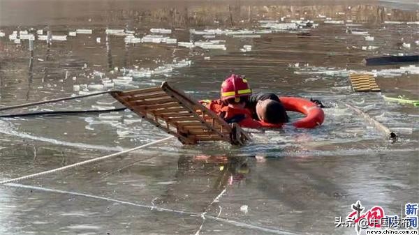 男子为救宠物狗被困污水井身亡,男子落水被狗狗救起原视频