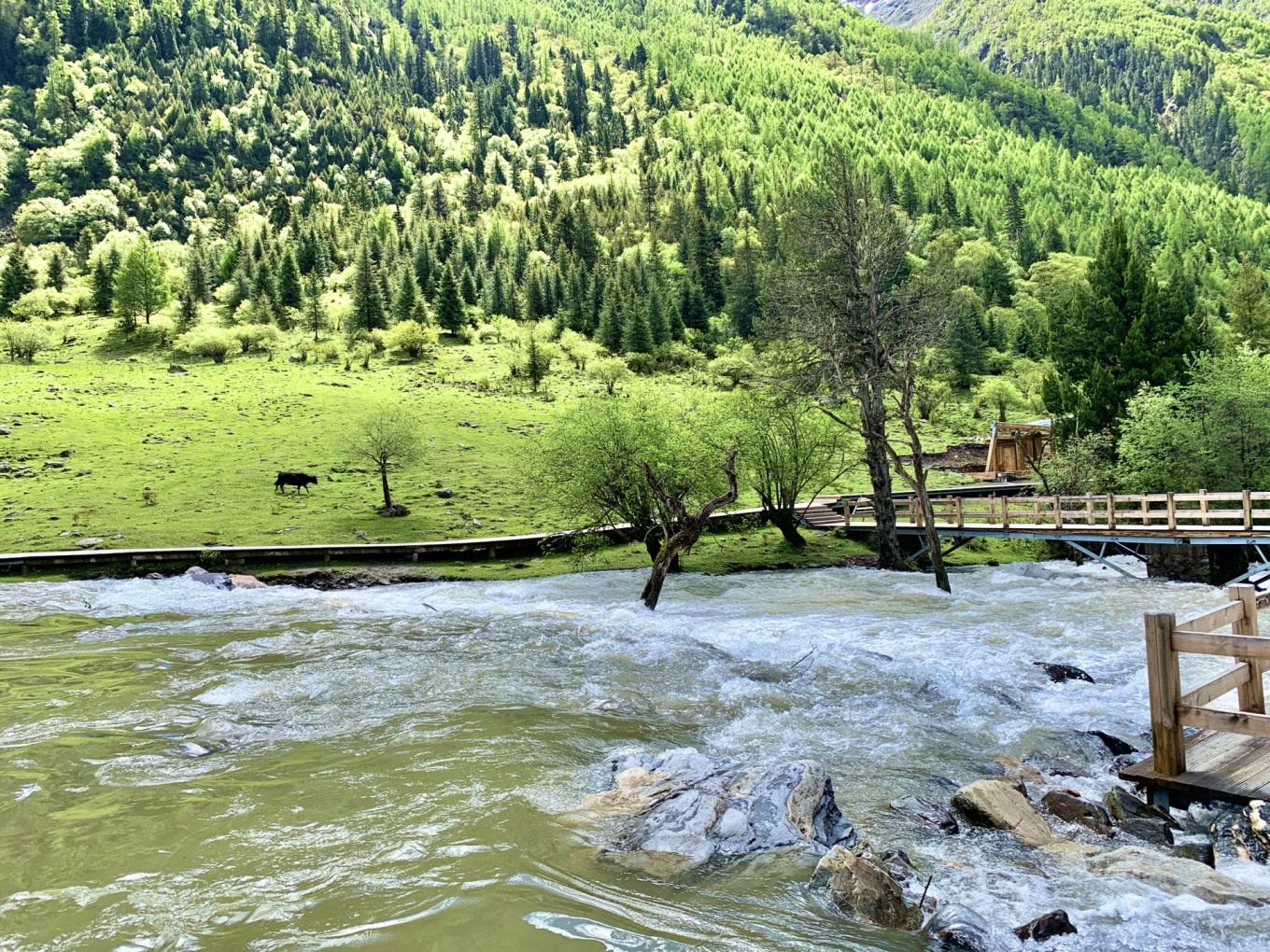 四姑娘山景区旅游攻略长坪沟,四姑娘山海子沟和长坪沟哪个好玩