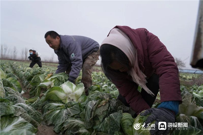 爱心接力捐赠75万,爱心接力六天