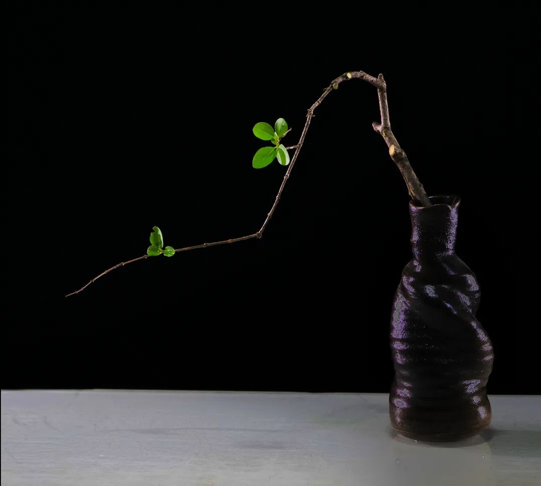 「今晚直播」东方自然风倪志翔：木本枝条在插花中的应用