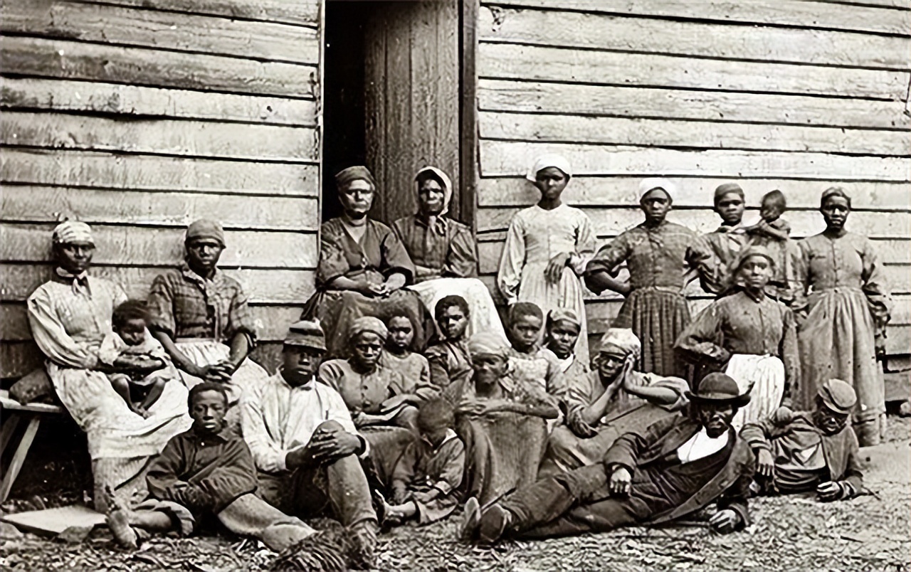 贩卖黑奴时,奴隶主怎么挑选?掰开嘴巴看牙齿,靠舔下巴识别汗液