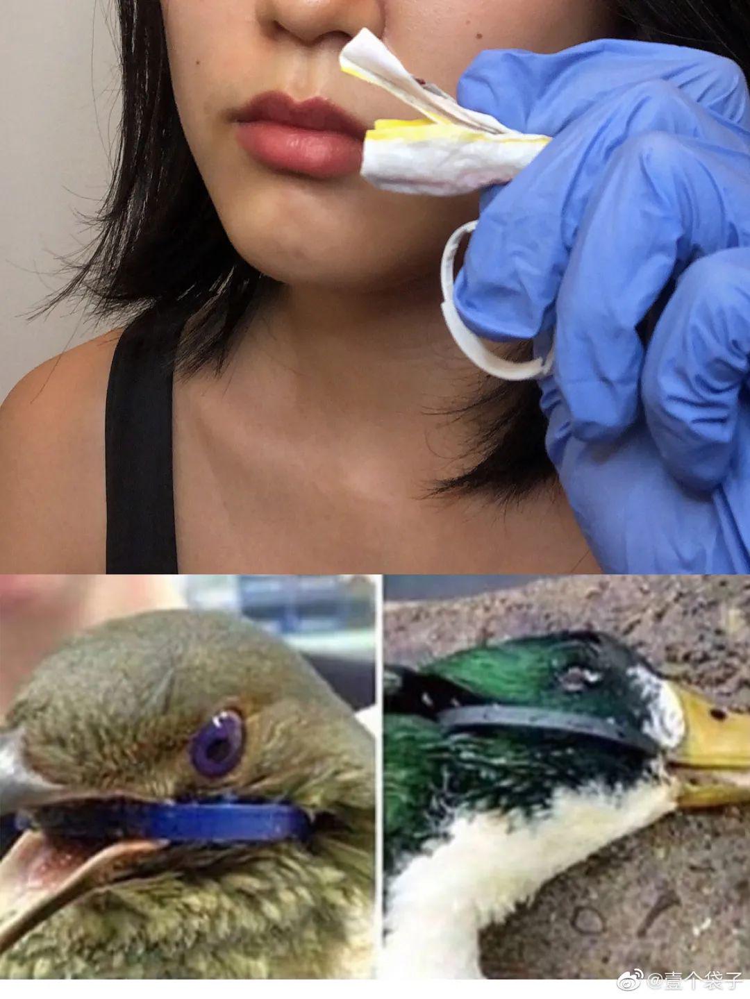 灞辩伀姝讳骸浜哄憳,灞辩伀鐑т激濂冲