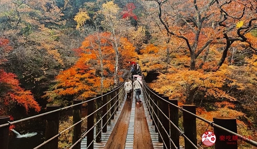 茨城旅行,茨城和茨城县
