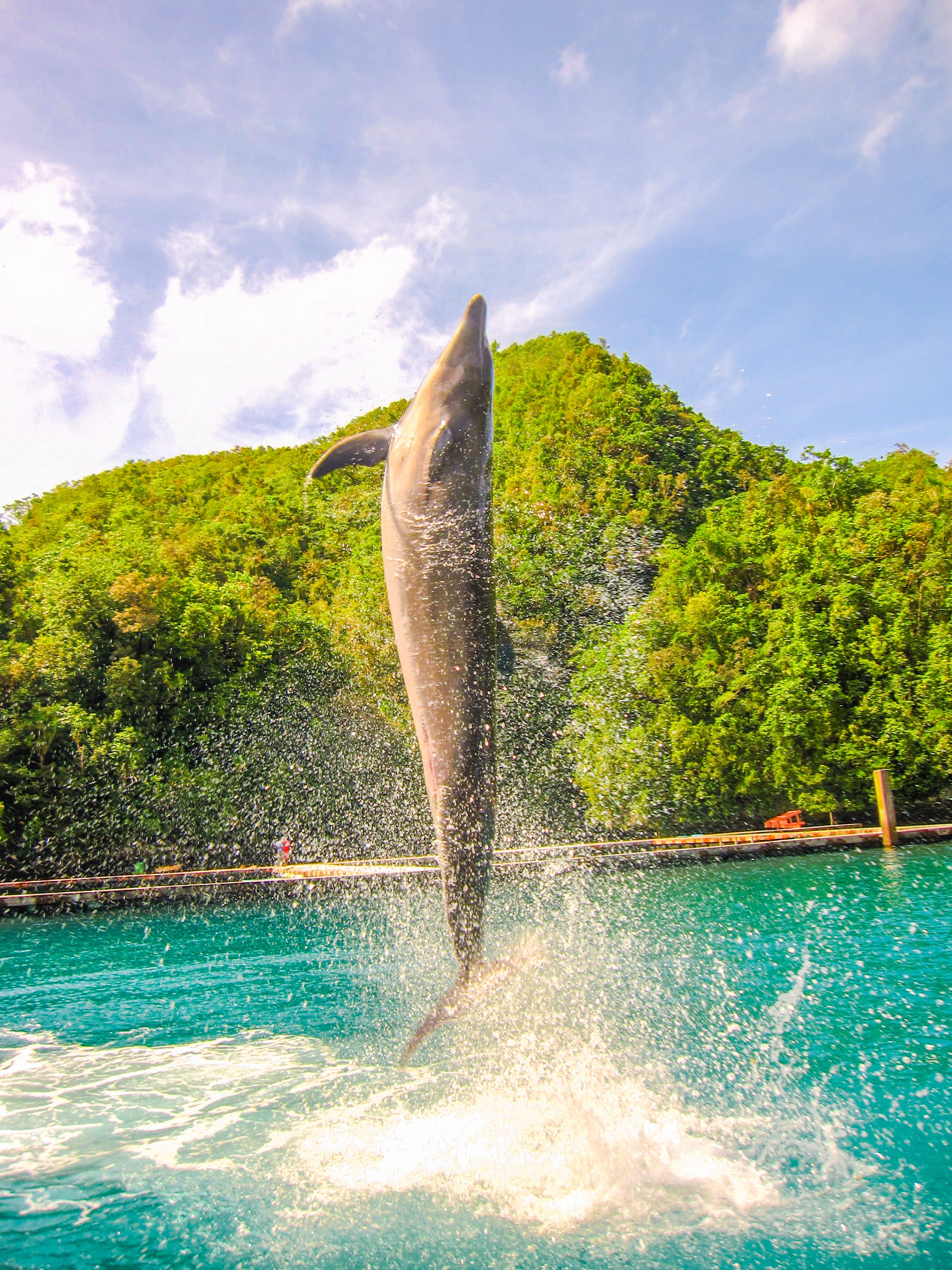 孤悬在太平洋上的岛国,帕劳,人生最值得一去的旅游目的地之一
