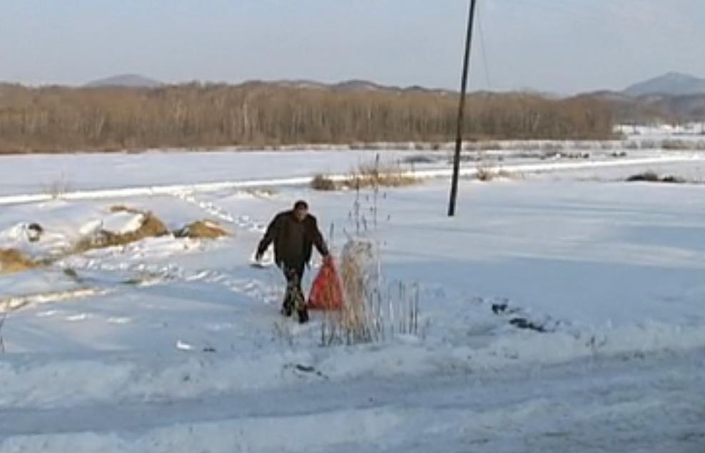 吉林一男子捡到梅花鹿,吉林男子野外捡鹿