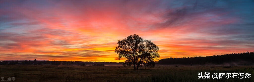 宝宝的下眼皮发青,宝宝的下眼睫毛贴在眼球上怎么办