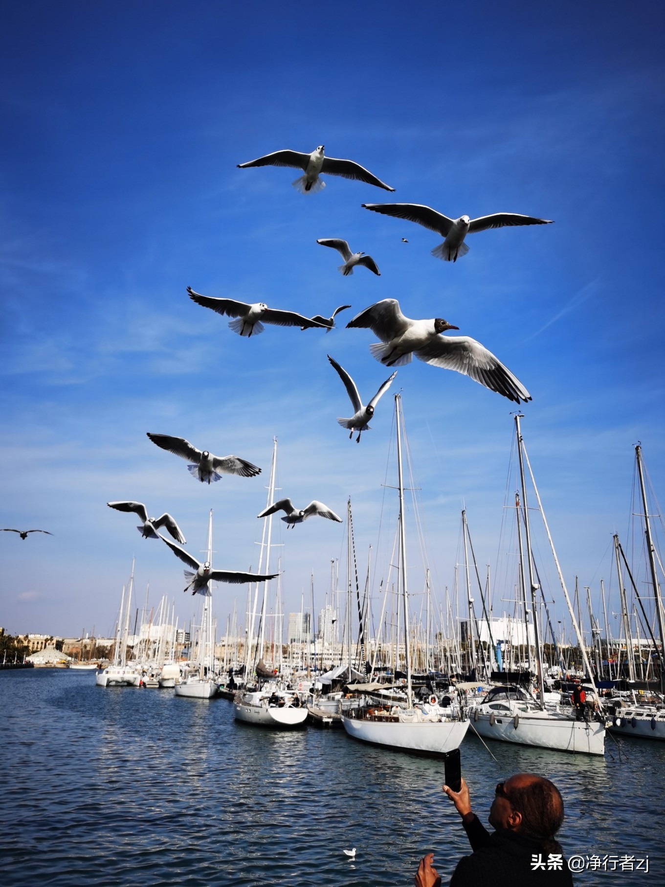 冬日暖阳拔“牙”记（34）巴塞罗那：高迪打造的欧洲之花（上）