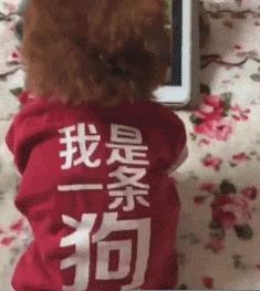 大爷你这是刚挖煤回来吗，另外你这车还挺个性的，这方向盘牛