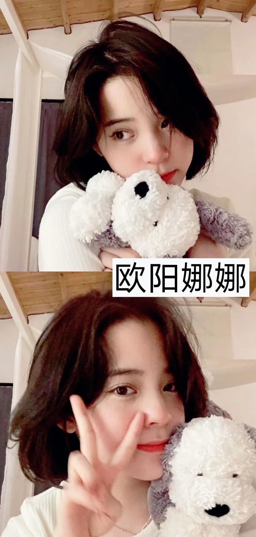 新晋女明星玩偶,毛绒玩偶女明星