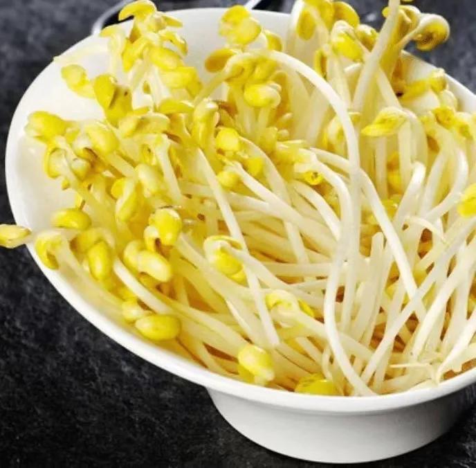 海南湖北籍企业家王攀小豆芽大梦想欲让海口市民吃上正宗“鄂”菜