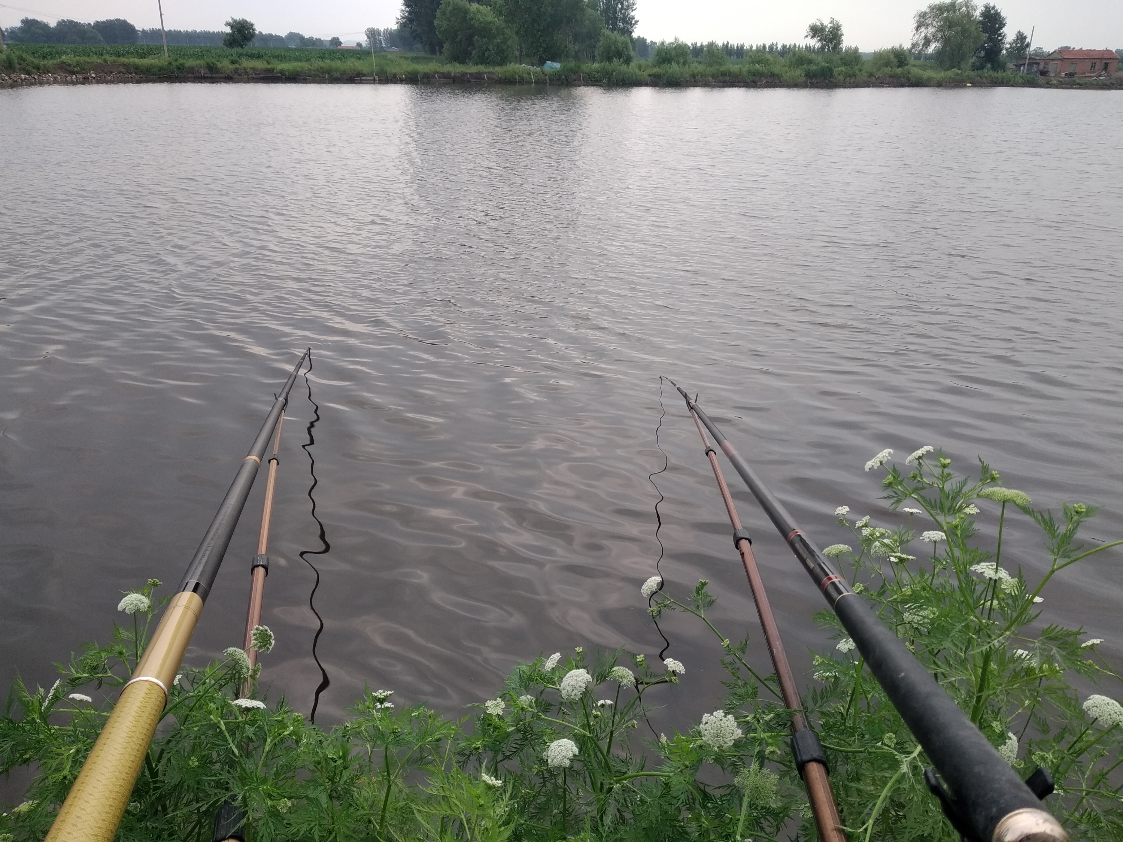 没想到，钓龄20多年的我，还能在选竿子上吃大亏……