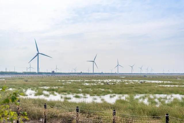 福如东海长流水源源不断,福如东海紫气东来什么意思