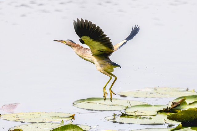 江苏十大旅游必去景点有哪些,江苏旅游必去十大景点推荐一下