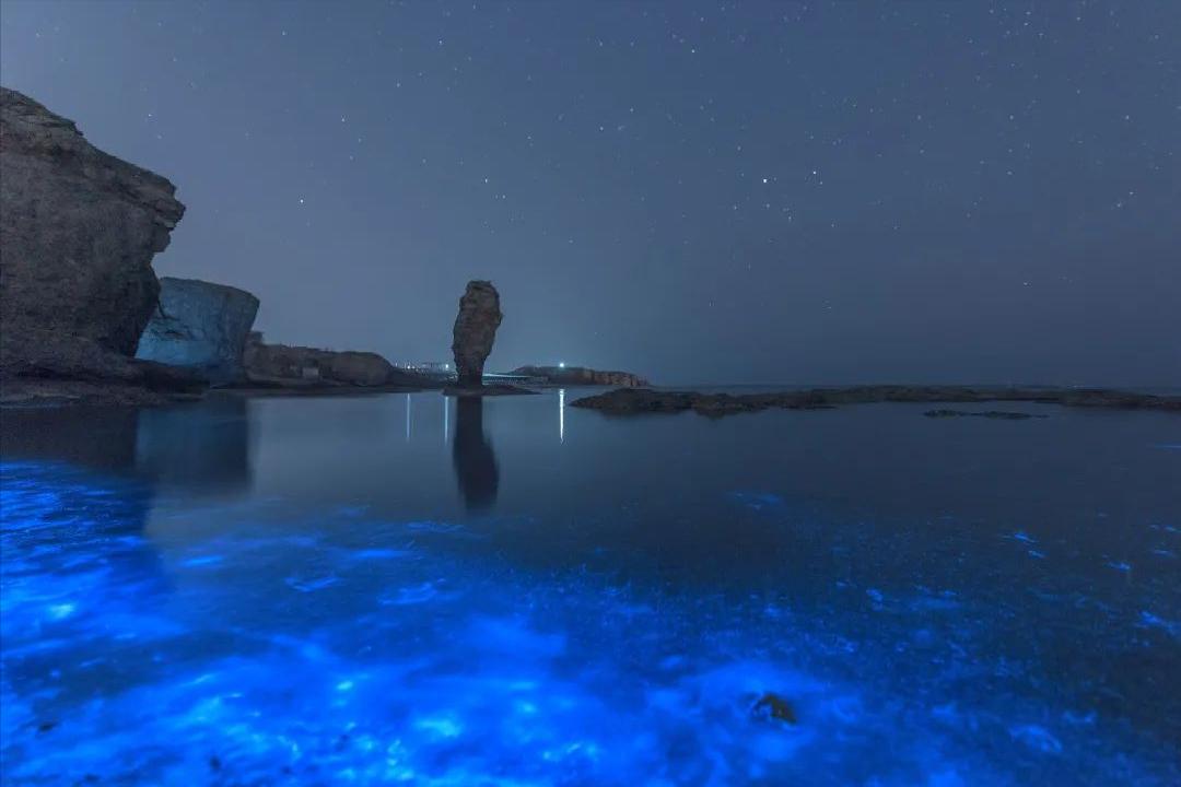 天津东疆港蓝眼泪出现时间,游玩天津东疆港攻略