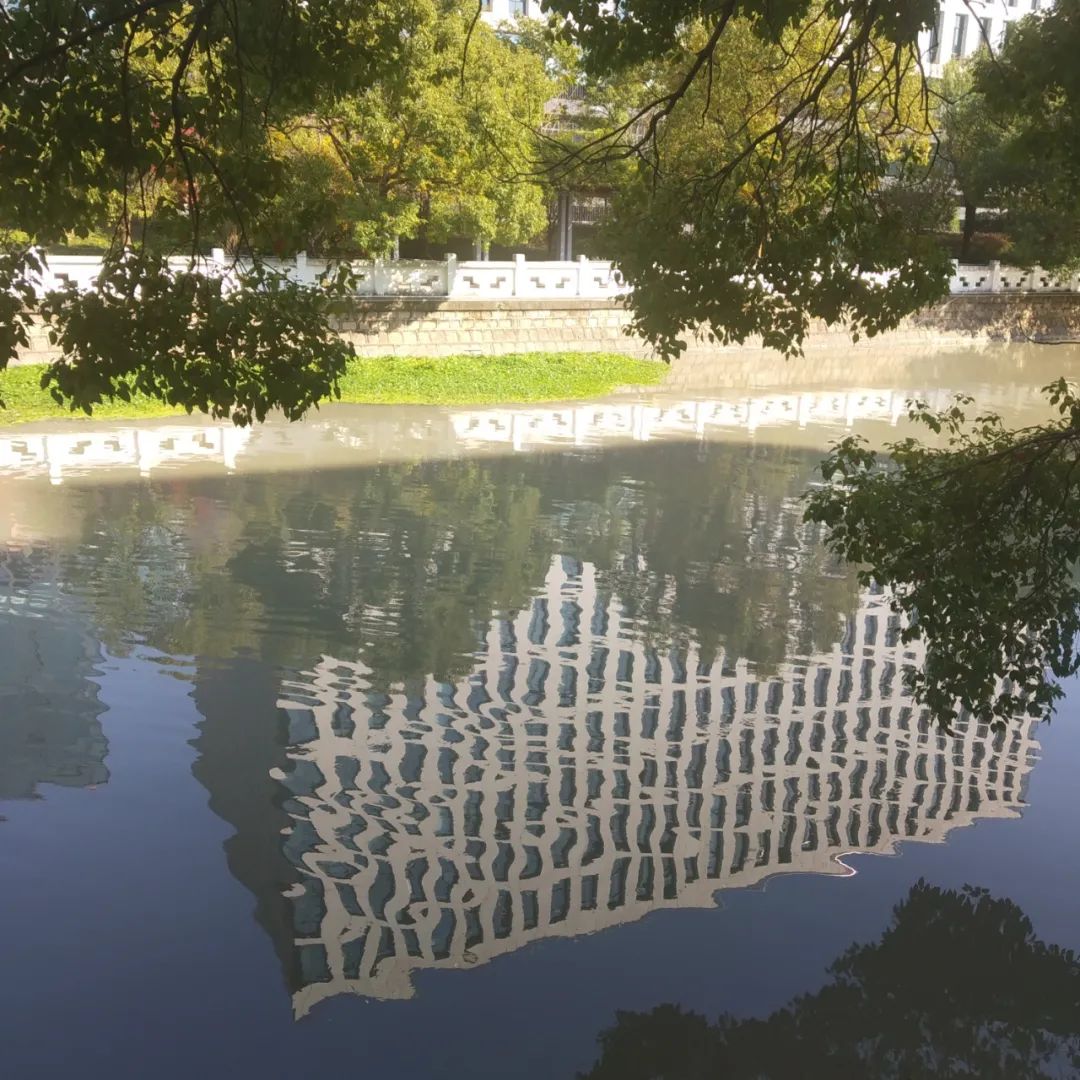 我最大的爱好就是上班,我最喜欢工作中的自己