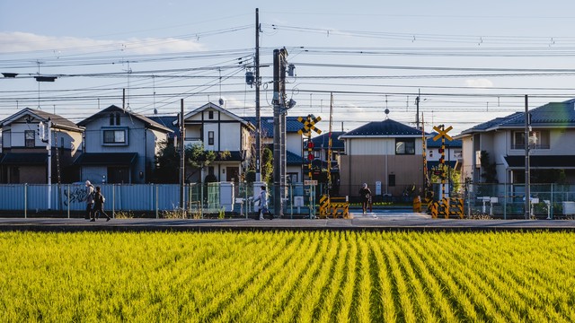 国家怎么扶持农村农业发展,政府大力扶持农民的好处