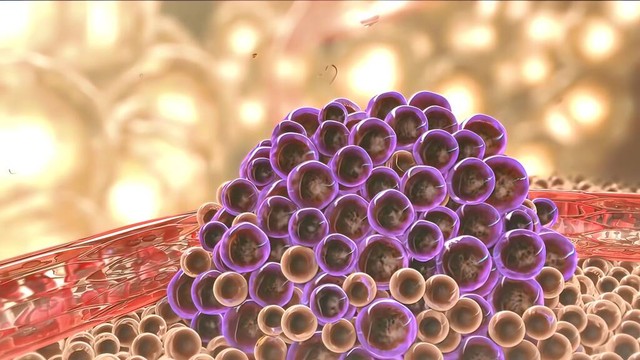 狗狗常见肿瘤有哪些，以及症状，如何治疗