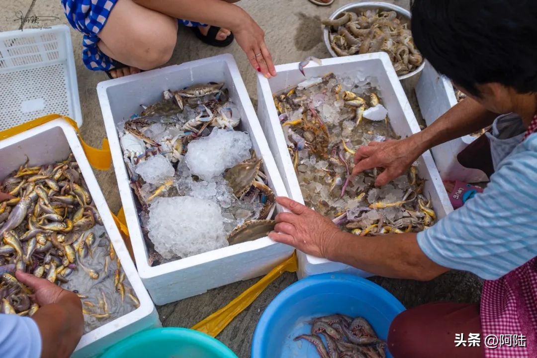 去舟山朱家尖住哪里方便,自驾游到舟山朱家尖怎么安排住宿