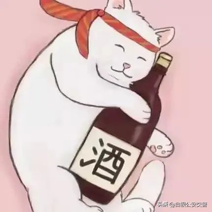 酒后不驾车准则,酒后莫驾车