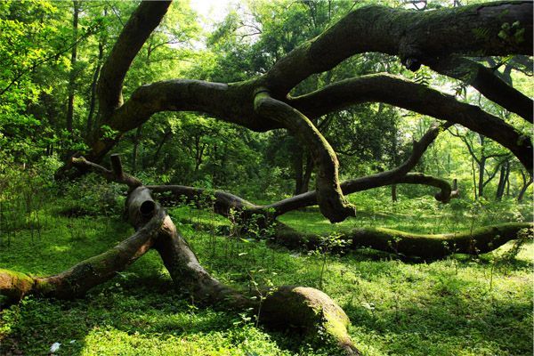 江西5月份冷门旅游,江西十大冷门景点人少景美好玩