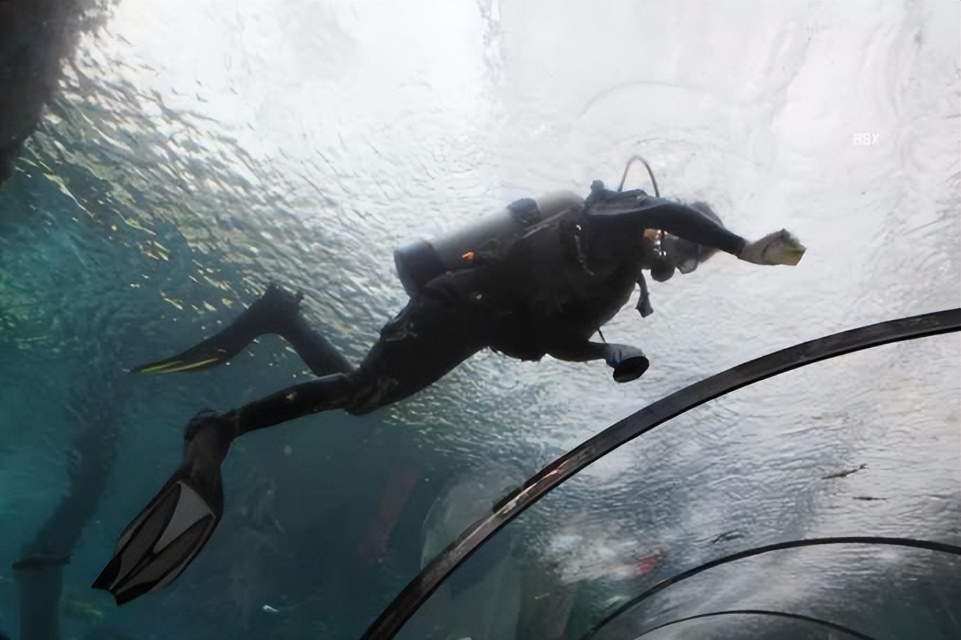 珠海长隆海洋王国水下走廊,世界级海洋乐园珠海长隆海洋王国