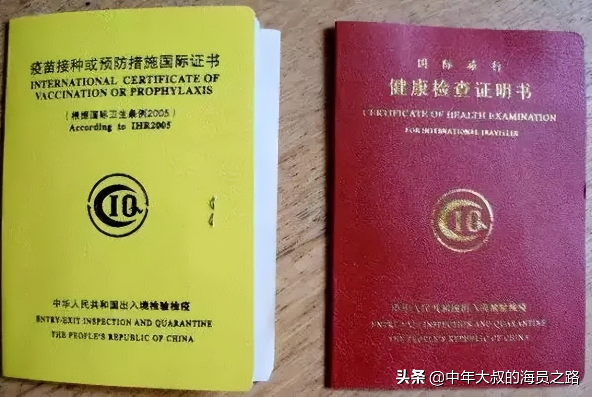 海员健康证体检项目表样本,海员健康证体检流程