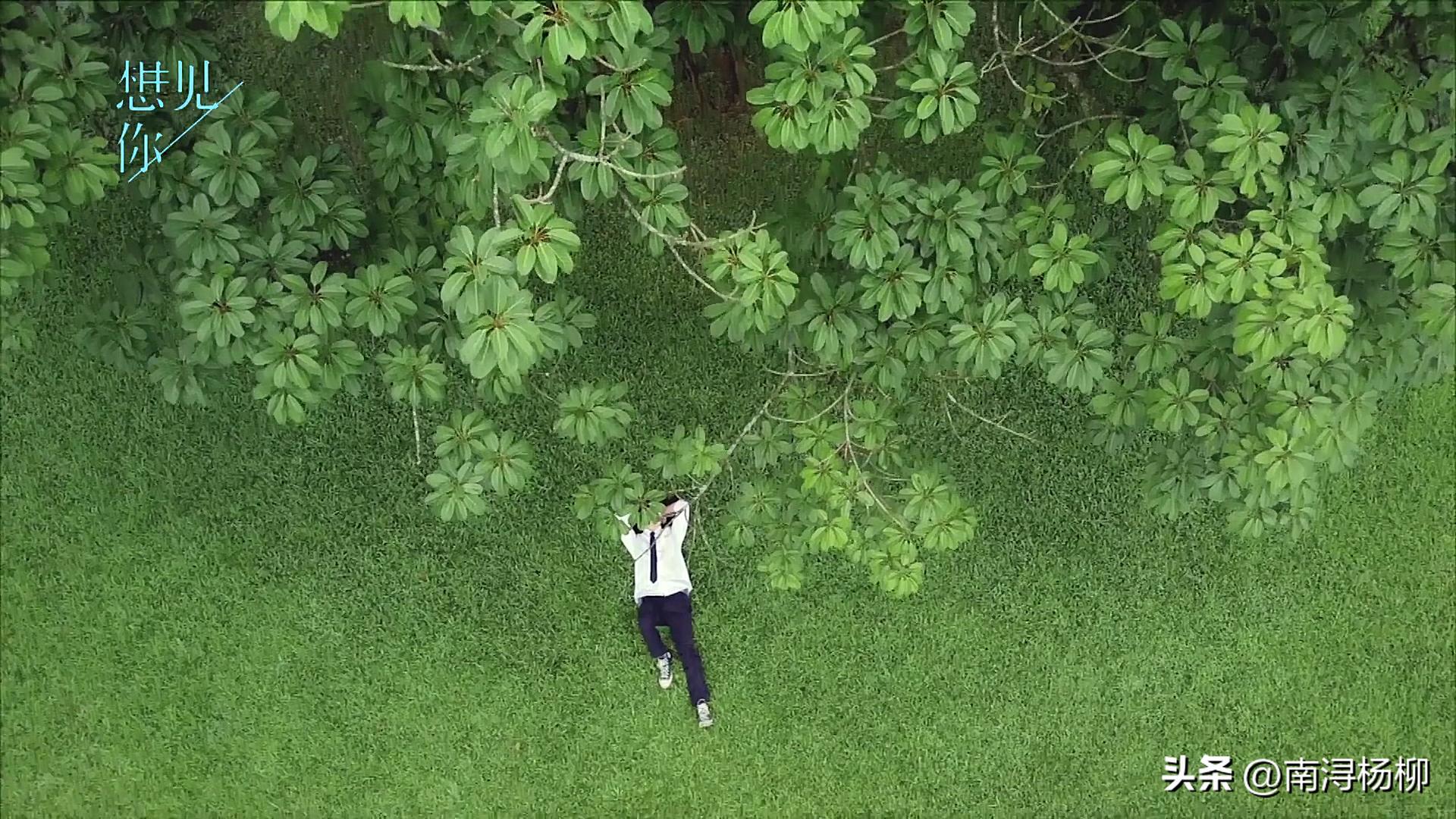 一脸疲惫还硬演学生，韩版《想见你》刚上线播出，原版又火了