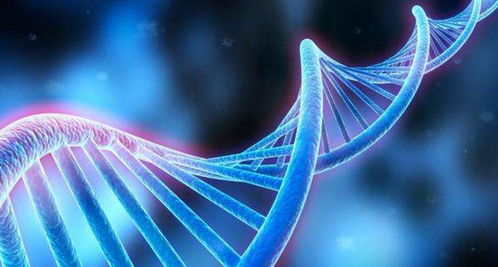 现如今计算机技术的发展趋势,高性能计算机有哪三种结构