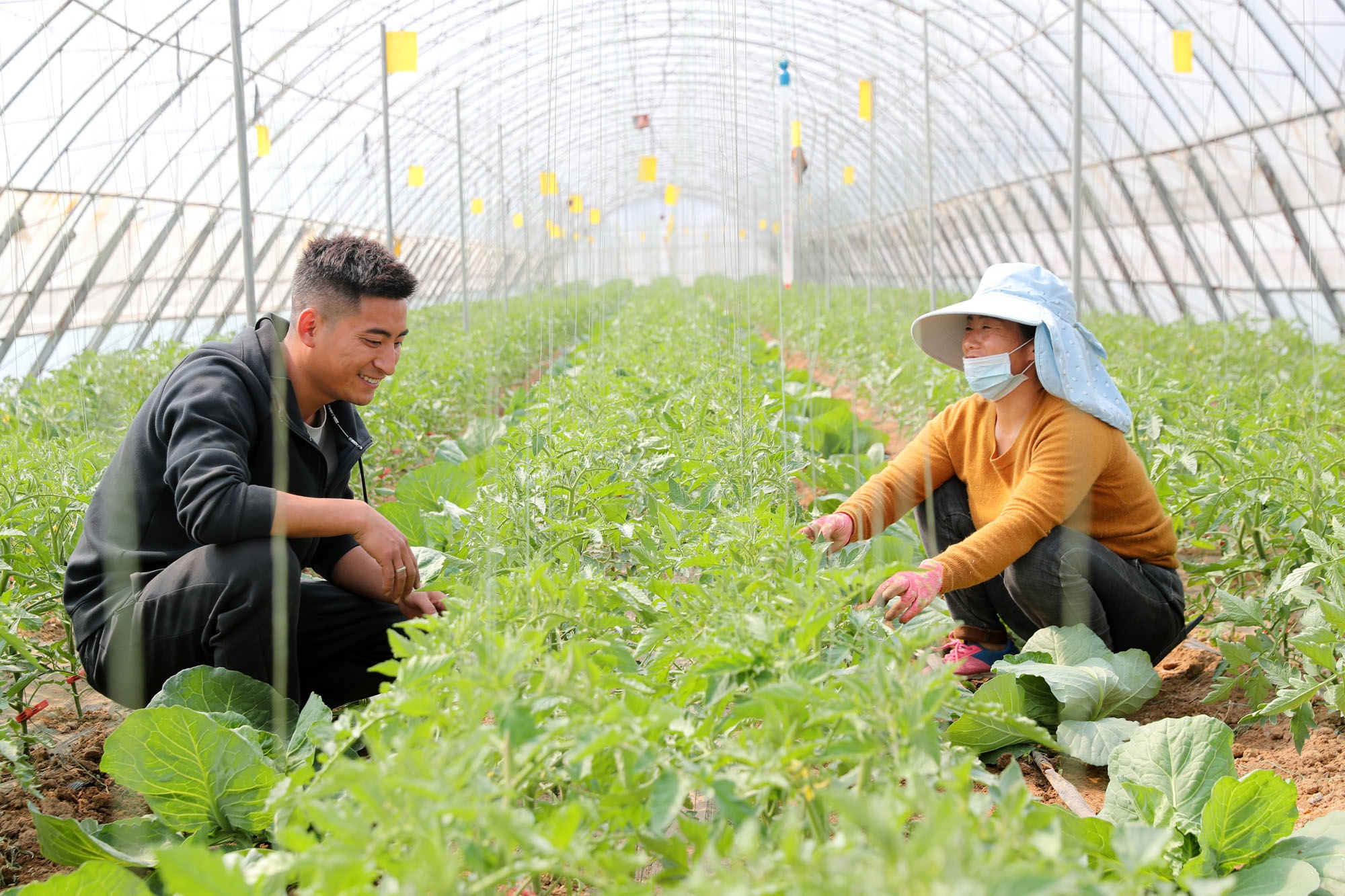 农村土地荒废无人种如何解决,农村废弃的荒宅