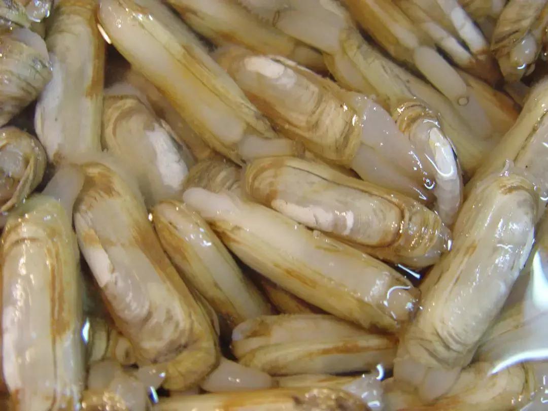 15种海鲜的经典吃法及价格,常见的海鲜正确吃法大全